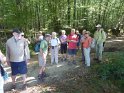 2014-09-15 11-13-36 Sur les rives du Bourdon FGi